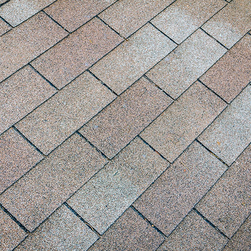 Savannah roof washing